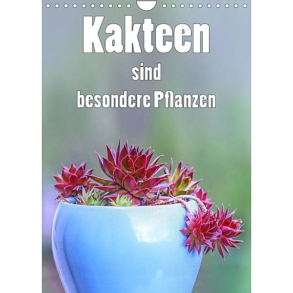 Kakteen sind besondere Pflanzen (Wandkalender 2022 DIN A4 hoch), Liselotte Brunner-Klaus