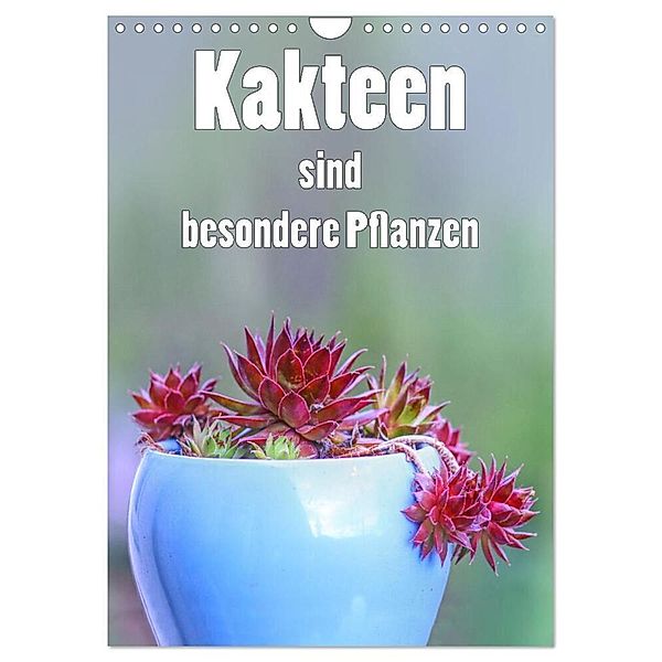 Kakteen sind besondere Pflanzen (Wandkalender 2024 DIN A4 hoch), CALVENDO Monatskalender, Liselotte Brunner-Klaus