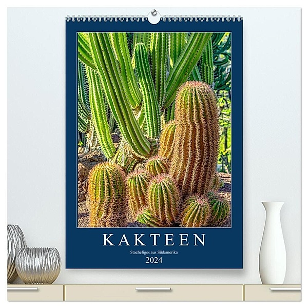 Kakteen - Stacheliges aus Südamerika (hochwertiger Premium Wandkalender 2024 DIN A2 hoch), Kunstdruck in Hochglanz, Dieter Meyer