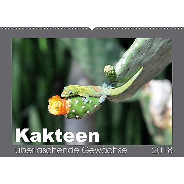Kakteen - überraschende Gewächse (Wandkalender 2018 DIN A2 quer), Uwe Bade