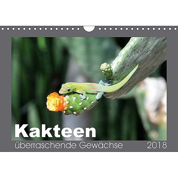 Kakteen - überraschende Gewächse (Wandkalender 2018 DIN A4 quer), Uwe Bade