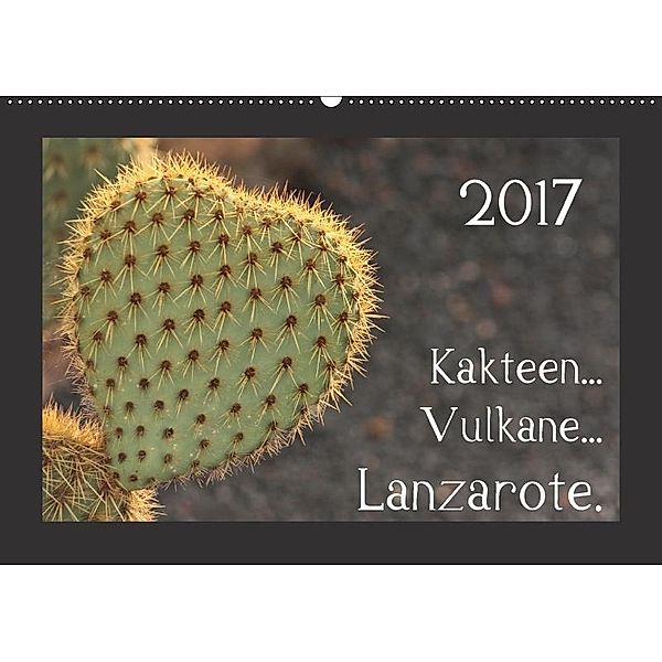 Kakteen... Vulkane... Lanzarote. (Wandkalender 2017 DIN A2 quer), Astrid Pustolla