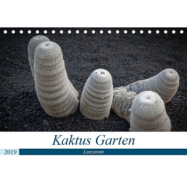 Kaktus Garten Lanzarote (Tischkalender 2019 DIN A5 quer), Peter Krieger