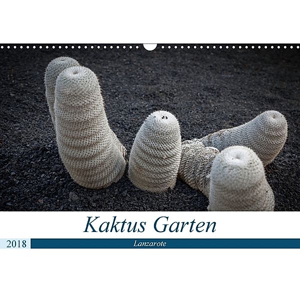Kaktus Garten Lanzarote (Wandkalender 2018 DIN A3 quer), Peter Krieger