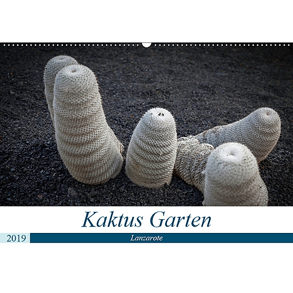 Kaktus Garten Lanzarote (Wandkalender 2019 DIN A2 quer), Peter Krieger