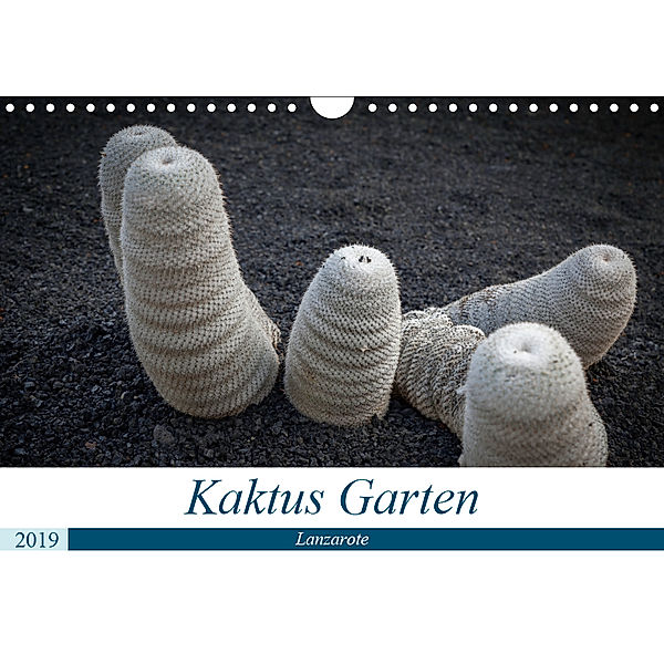 Kaktus Garten Lanzarote (Wandkalender 2019 DIN A4 quer), Peter Krieger