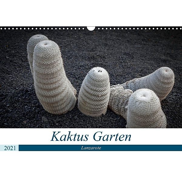 Kaktus Garten Lanzarote (Wandkalender 2021 DIN A3 quer), Peter Krieger