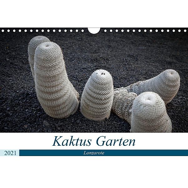 Kaktus Garten Lanzarote (Wandkalender 2021 DIN A4 quer), Peter Krieger