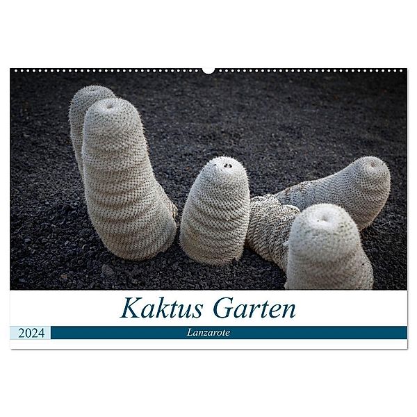 Kaktus Garten Lanzarote (Wandkalender 2024 DIN A2 quer), CALVENDO Monatskalender, Peter Krieger