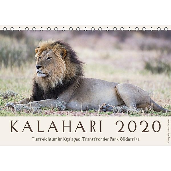 Kalahari - Tierreichtum im Kgalagadi Transfrontier Park, Südafrika (Tischkalender 2021 DIN A5 quer), Silvia Trüssel