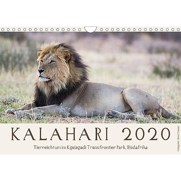 Kalahari - Tierreichtum im Kgalagadi Transfrontier Park, Südafrika (Wandkalender 2021 DIN A4 quer), Silvia Trüssel