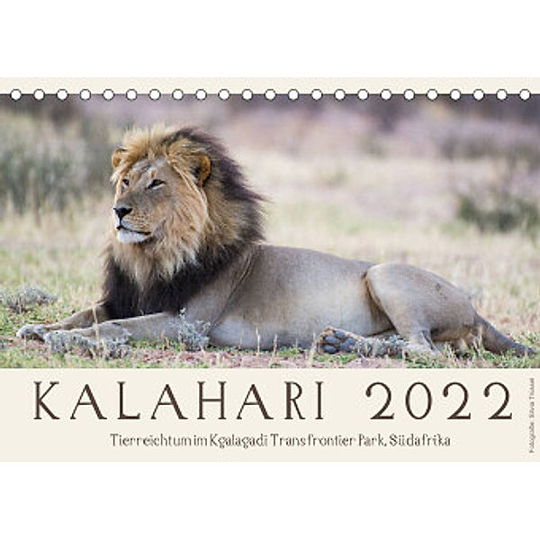 Kalahari - Tierreichtum im Kgalagadi Transfrontier Park, Südafrika (Tischkalender 2022 DIN A5 quer), Silvia Trüssel