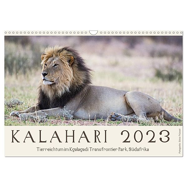 Kalahari - Tierreichtum im Kgalagadi Transfrontier Park, Südafrika (Wandkalender 2024 DIN A3 quer), CALVENDO Monatskalender, Silvia Trüssel