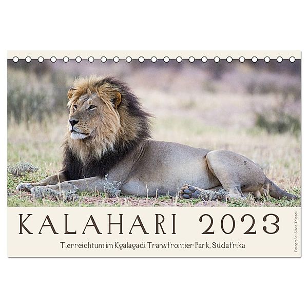 Kalahari - Tierreichtum im Kgalagadi Transfrontier Park, Südafrika (Tischkalender 2024 DIN A5 quer), CALVENDO Monatskalender, Silvia Trüssel