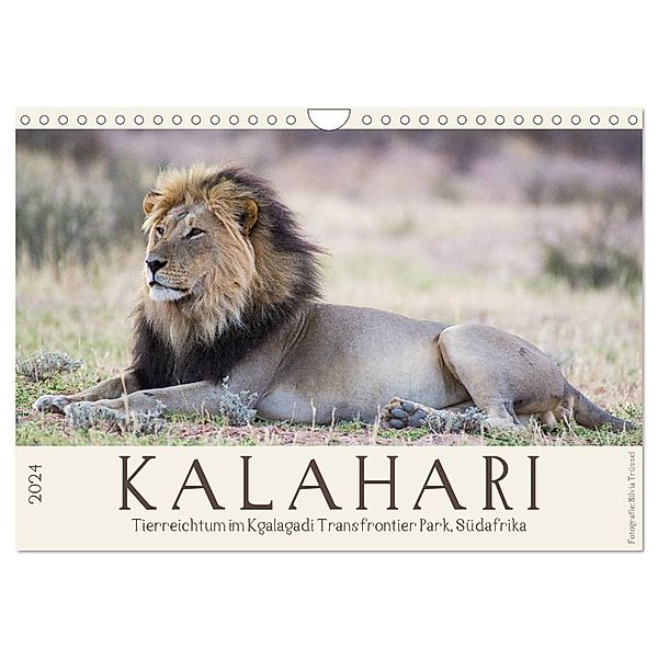 Kalahari - Tierreichtum im Kgalagadi Transfrontier Park, Südafrika (Wandkalender 2024 DIN A4 quer), CALVENDO Monatskalender, Silvia Trüssel