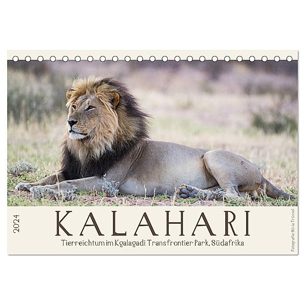 Kalahari - Tierreichtum im Kgalagadi Transfrontier Park, Südafrika (Tischkalender 2024 DIN A5 quer), CALVENDO Monatskalender, Silvia Trüssel