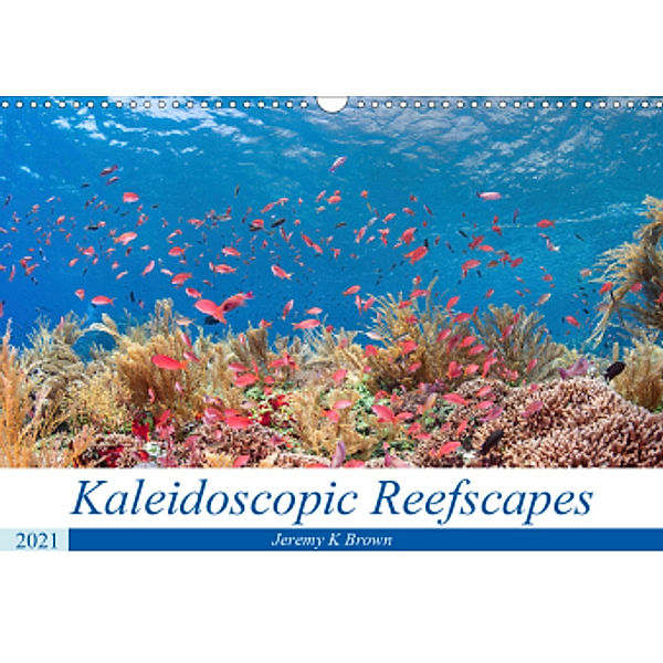 Kaleidoscopic Reefscapes (Wall Calendar 2021 DIN A3 Landscape), Jeremy Brown