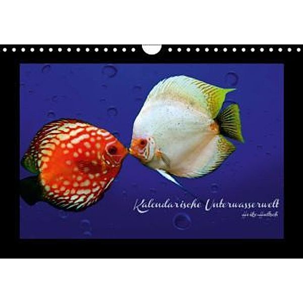 Kalendarische Unterwasserwelt (Wandkalender 2016 DIN A4 quer), Heike Hultsch