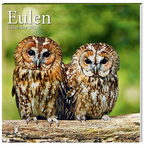 Kalender Eulen 2015 - Broschur