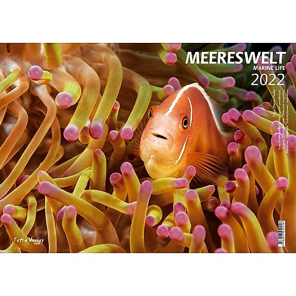 Kalender Meereswelt (Marine Life) 2022