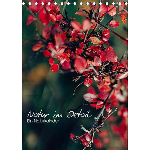 Kalender - Natur im Detail (Tischkalender 2020 DIN A5 hoch), Maxi Sängerlaub