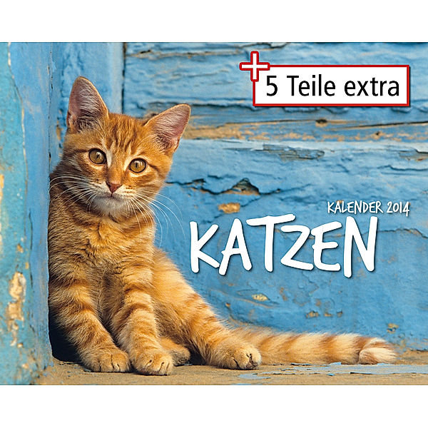 Kalender-Paket Katzen 2014, 6-teilig