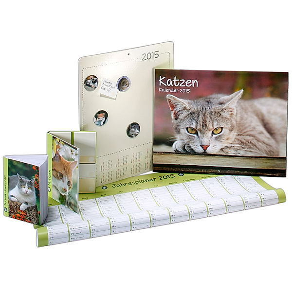 Kalender-Paket Katzen 2015, 6tlg.