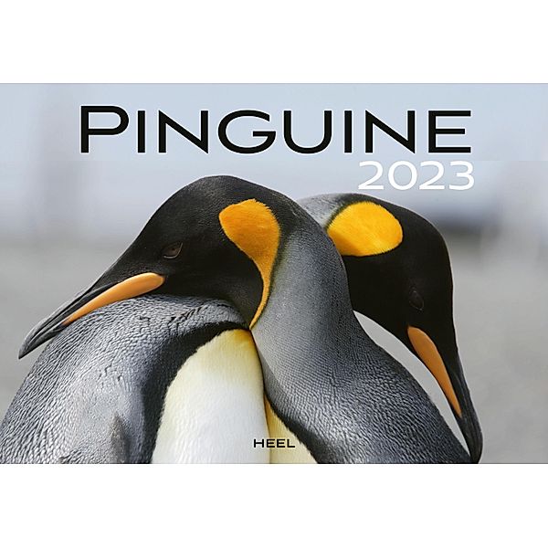 Kalender Pinguine 2023