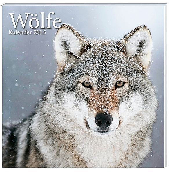Kalender Wölfe 2015 - Broschur
