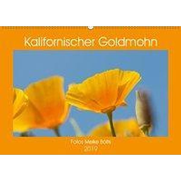 Kalifornischer Goldmohn (Wandkalender 2019 DIN A2 quer), Meike Bölts