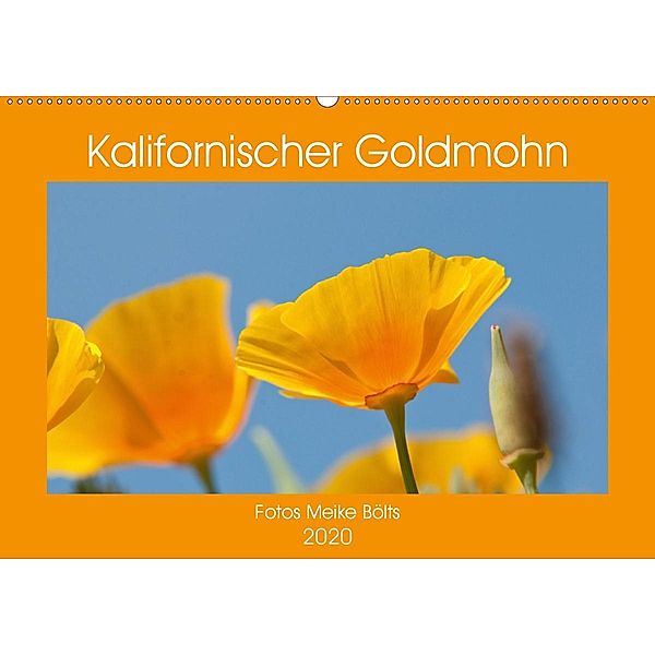 Kalifornischer Goldmohn (Wandkalender 2020 DIN A2 quer), Meike Bölts