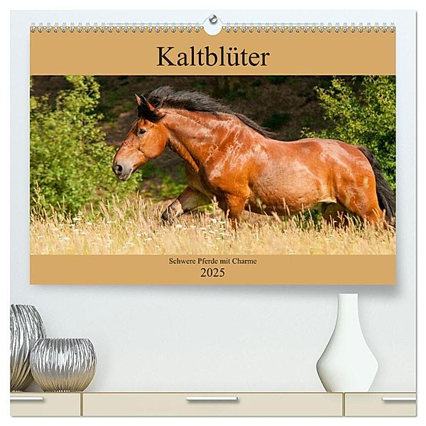 Kaltblüter - Schwere Pferde mit Charme (hochwertiger Premium Wandkalender 2025 DIN A2 quer), Kunstdruck in Hochglanz, Calvendo, Meike Bölts