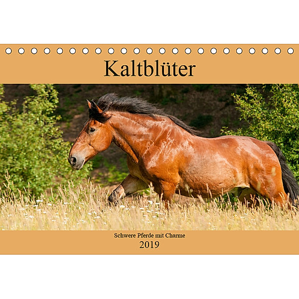 Kaltblüter - Schwere Pferde mit Charme (Tischkalender 2019 DIN A5 quer), Meike Bölts