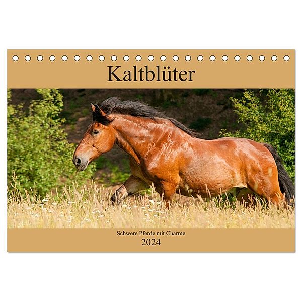 Kaltblüter - Schwere Pferde mit Charme (Tischkalender 2024 DIN A5 quer), CALVENDO Monatskalender, Meike Bölts