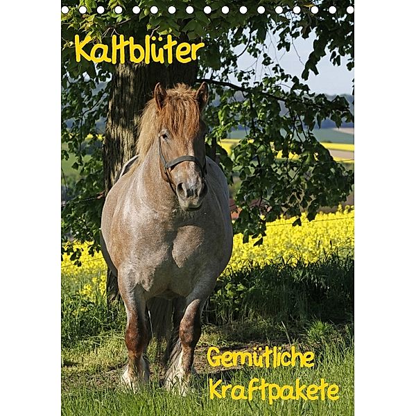 Kaltblüter (Tischkalender 2018 DIN A5 hoch), Antje Lindert-Rottke