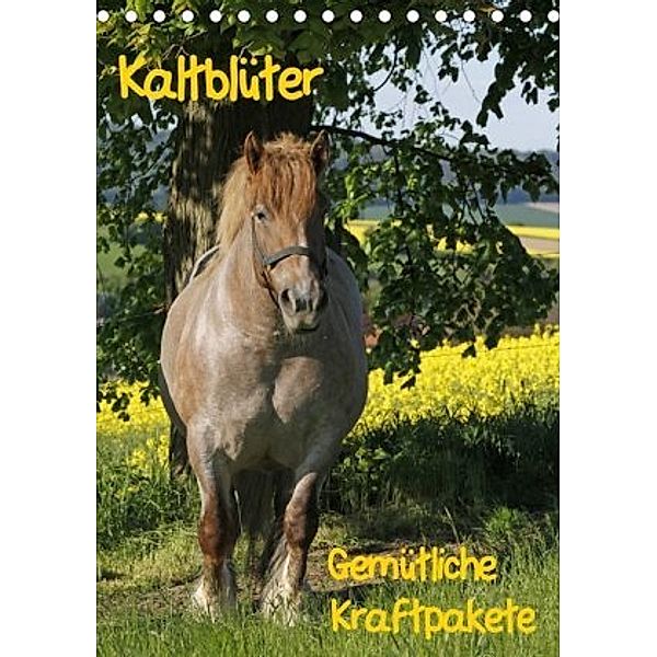 Kaltblüter (Tischkalender 2020 DIN A5 hoch), Antje Lindert-Rottke
