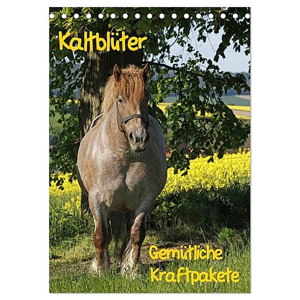 Kaltblüter (Tischkalender 2024 DIN A5 hoch), CALVENDO Monatskalender, Antje Lindert-Rottke