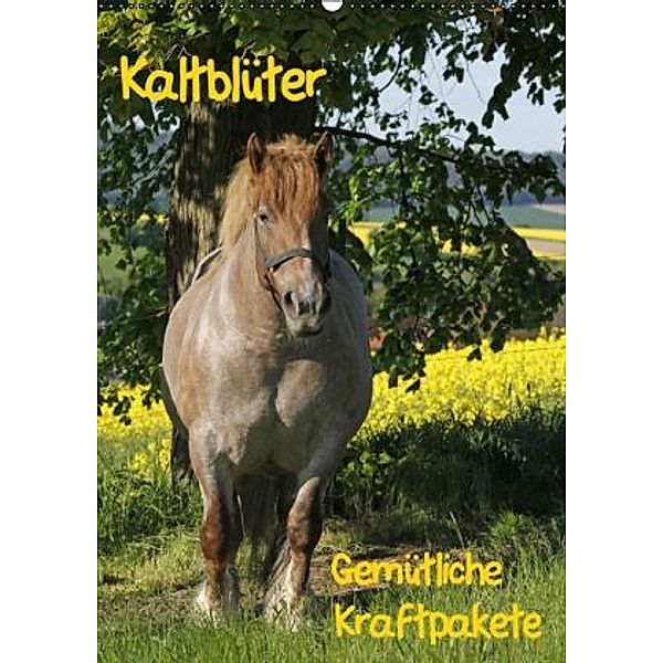 Kaltblüter (Wandkalender 2015 DIN A2 hoch), Antje Lindert-Rottke