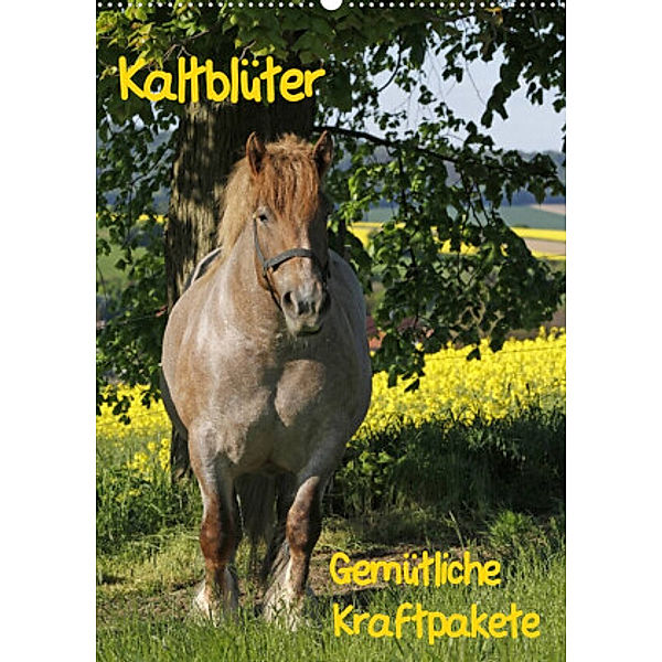 Kaltblüter (Wandkalender 2022 DIN A2 hoch), Antje Lindert-Rottke