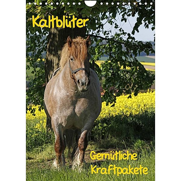 Kaltblüter (Wandkalender 2023 DIN A4 hoch), Antje Lindert-Rottke