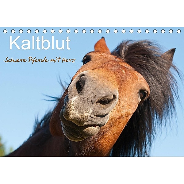 Kaltblut - schwere Pferde mit Herz (Tischkalender 2020 DIN A5 quer), Meike Bölts