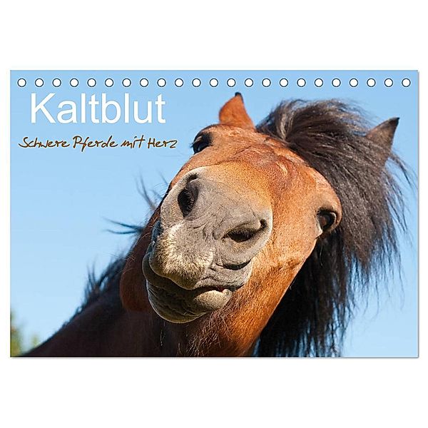 Kaltblut - schwere Pferde mit Herz (Tischkalender 2025 DIN A5 quer), CALVENDO Monatskalender, Calvendo, Meike Bölts