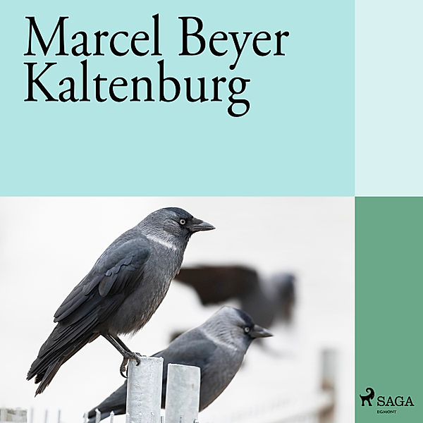 Kaltenburg, Marcel Beyer