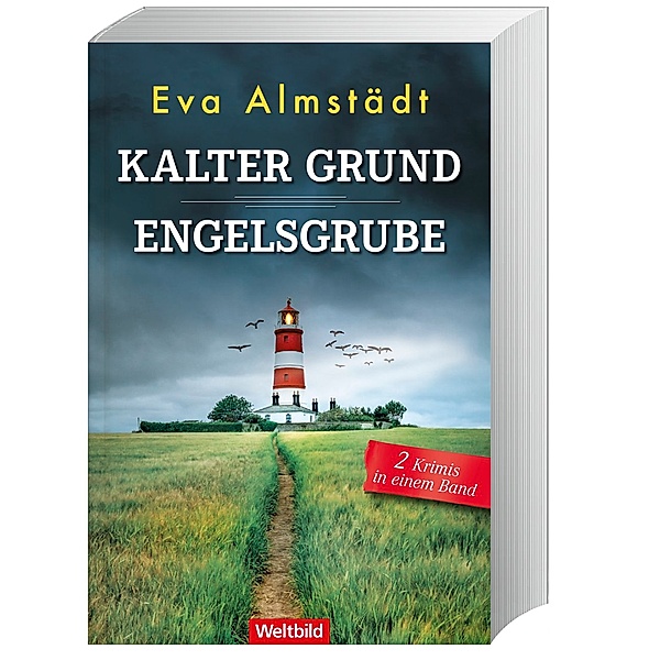 Kalter Grund / Engelsgrube/ Pia Korritki Bd. 1-2, Eva Almstädt