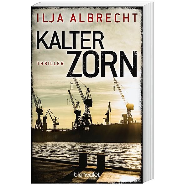 Kalter Zorn / Kiran Mendelsohn Bd.2, Ilja Albrecht