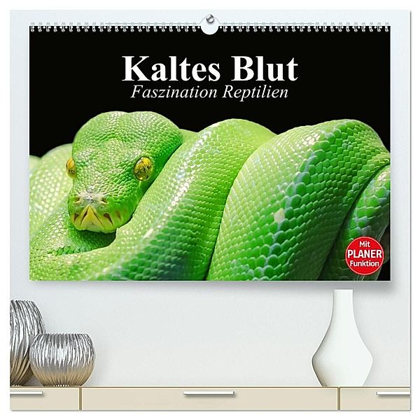 Kaltes Blut. Faszination Reptilien (hochwertiger Premium Wandkalender 2024 DIN A2 quer), Kunstdruck in Hochglanz, Elisabeth Stanzer