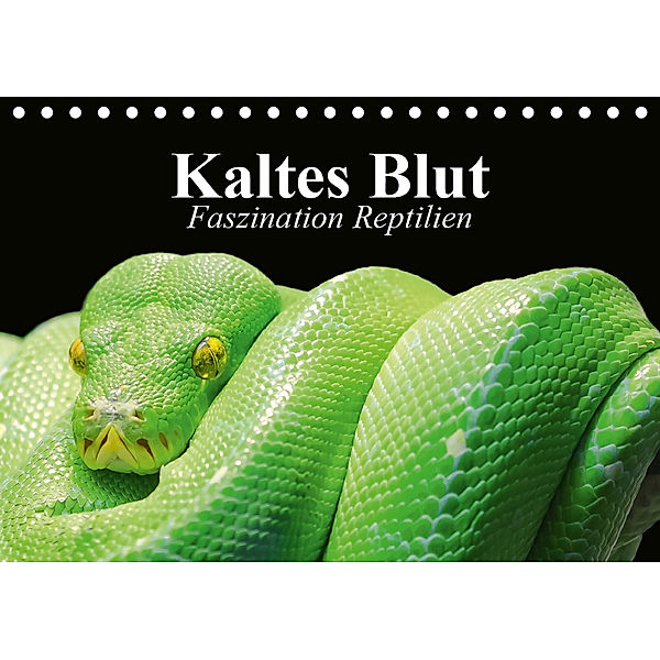 Kaltes Blut. Faszination Reptilien (Tischkalender 2019 DIN A5 quer), Elisabeth Stanzer