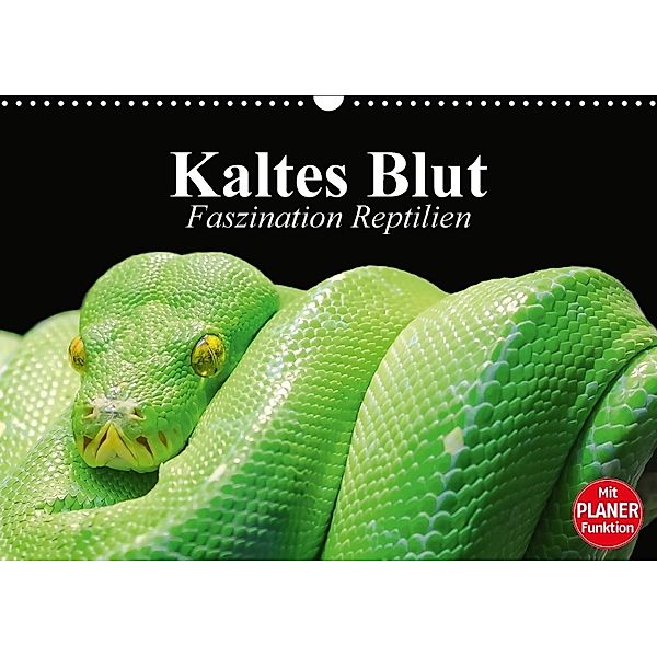 Kaltes Blut. Faszination Reptilien (Wandkalender 2018 DIN A3 quer), Elisabeth Stanzer