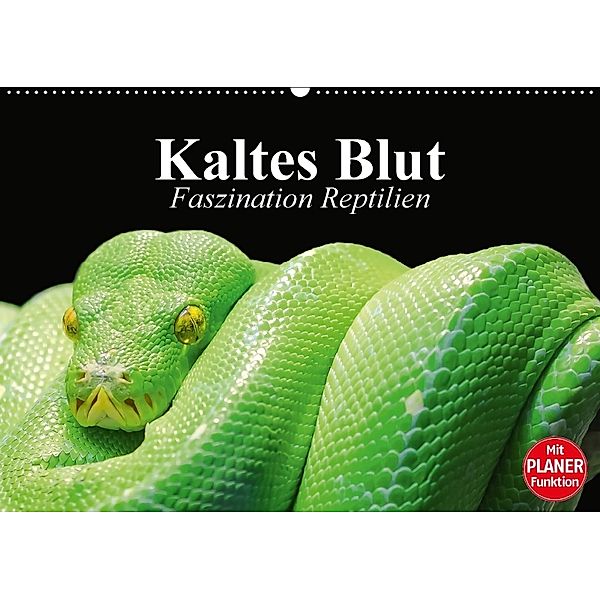 Kaltes Blut. Faszination Reptilien (Wandkalender 2018 DIN A2 quer), Elisabeth Stanzer