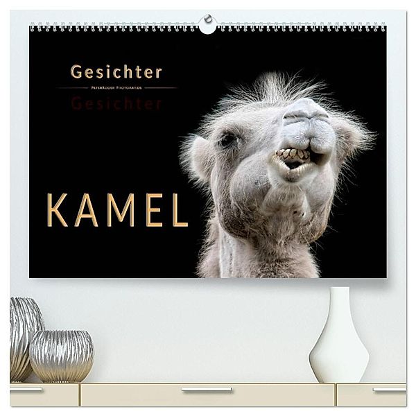 Kamel Gesichter (hochwertiger Premium Wandkalender 2025 DIN A2 quer), Kunstdruck in Hochglanz, Calvendo, Peter Roder